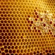 Propolis