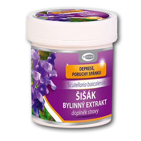 Šišák bajkalský (Scutellaria baicalensis)