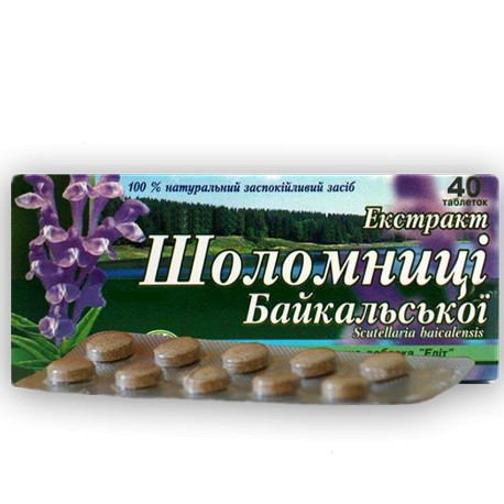 Baikal-Helmkraut (Scutellaria baicalensis)