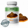 Chaga mushroom (Inonotus obliquus)