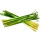 Citronová tráva (Cymbopogon citratus﻿)﻿
