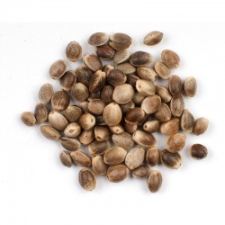 Konopné semienko nelúpane - 250 g
