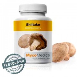 Shiitake Extract - 90 Kapseln