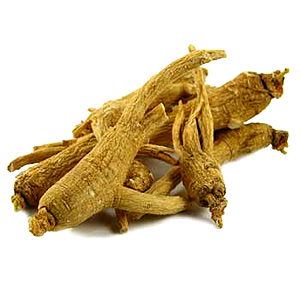 Ženšen (Panax ginseng)